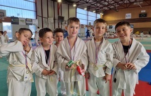 ANIMATION EVEIL JUDO