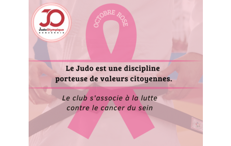 Retour en image du Défilé Rose....